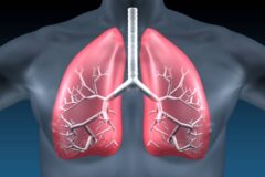 PULMONARY HEALTH